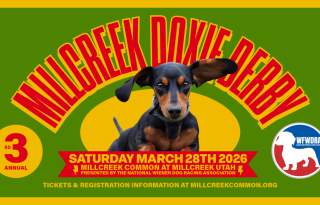 2026 Millcreek Doxie Derby