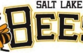 Salt Lake Bees vs  Omaha Storm Chasers