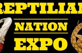 2026 Reptilian Nation Expo
