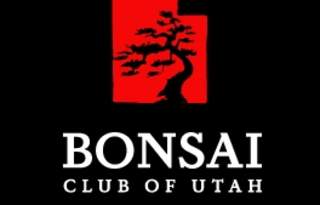 2026 Spring Bonsai Show