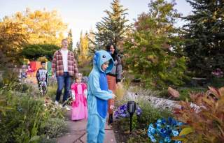 2026 Garden After Dark: Adventures in Neverland