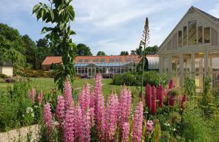 Walled Garden Baumber