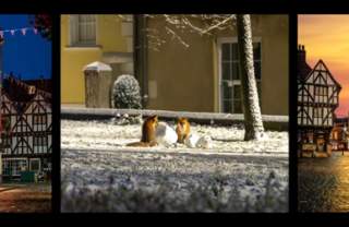 A Modern Chronicle: Photography Exhibition by Andrew Scott