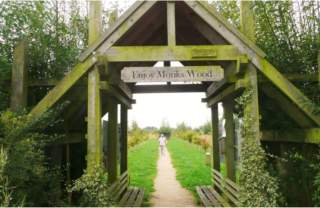 Ashing Lane Nature Reserve