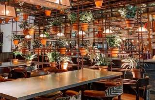 The Botanist