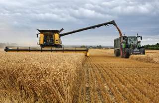 Lincoln Camera Club: Work and Play in Lincolnshire 2025