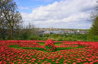 The IBCC Lancaster Poppy Display VE80