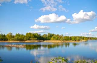 Whisby Nature Park