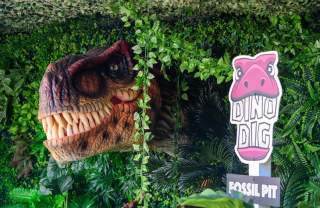 Dino City