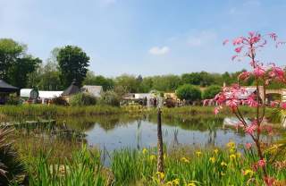Vintage Festival at Walled Garden Baumber