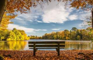 Hartsholme Country Park