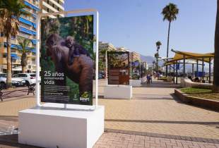 25 años con Bioparc