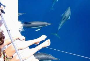 Fuengirola Sea Trips