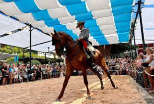 Fuengirola a Caballo