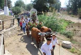 La Romería Virgen del Rosario