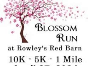 2024 Blossom Run