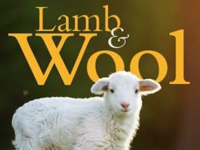 2024 Lamb and Wool Festival