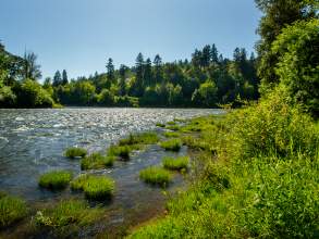 River Forks County Park