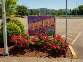 Gaddis Park