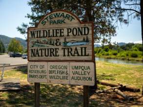 Stewart Park Wildlife Ponds & Nature Trail