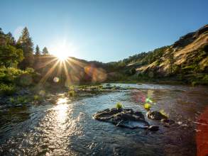 Whistler's Bend Park & Campground