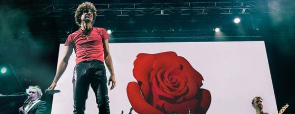 The Kooks