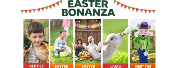 Easter Bonanza