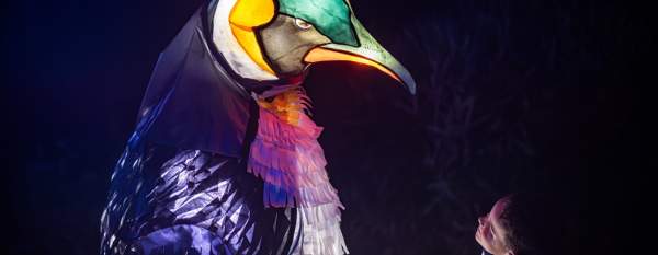 Lanterns and Light at Chester Zoo