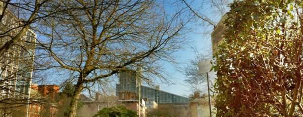 St John's Gardens