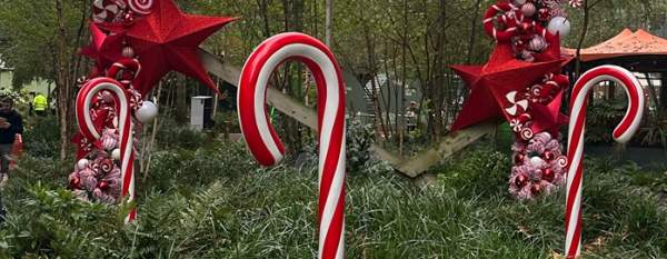 Spinningfields Christmas Installation