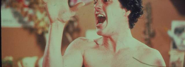 An American Werewolf in London + Shaun of the Dead (15)