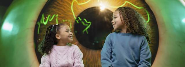 Operation Ouch! Brains, Bogies and You