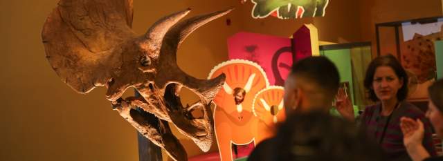 Triceratops: Eat, Roam, Repeat