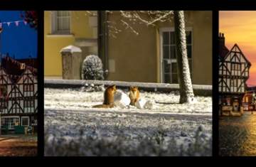 A Modern Chronicle: Photography Exhibition by Andrew Scott