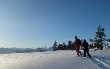 Amazing Snow Shoe Hike Balestrand