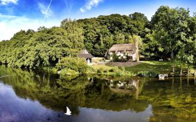 Dog friendly self shop catering new forest