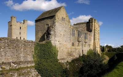 National Centre for Birds of Prey - Visit Helmsley Visit Helmsley