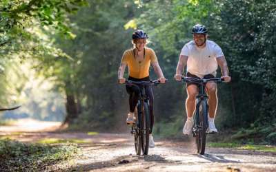 New Forest Cycle Hire Visit the New Forest