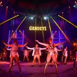 Gandeys K-Pop Dragon Circus