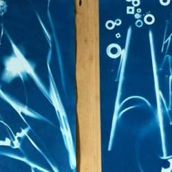 Meet and Make: Cyanotype Printing