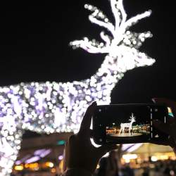 Christmas Trail at Liverpool ONE