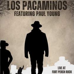 Los Pacaminos (Featuring Paul Young) Live