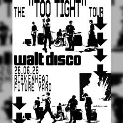 Walt Disco