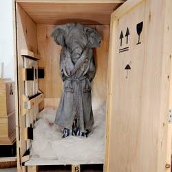 Beyond The Glass: The Science of Collections Conservation