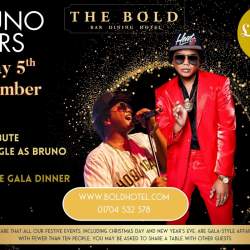 Bruno Mars Christmas Party Night