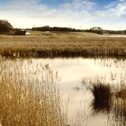 RSPB Burton Mere Wetlands