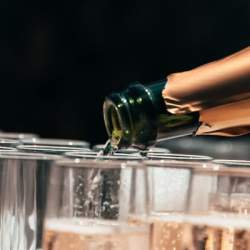 Springtime of Support