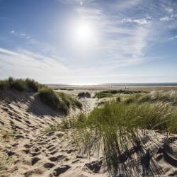 Ainsdale and Birkdale Sandhills Nature Reserve