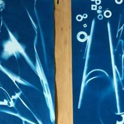 Meet and Make: Cyanotype Printing