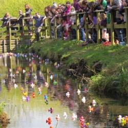 Annual Duck Race